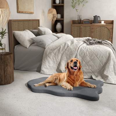 Laifug Ovales Hundebett Mit Memory-Schaum – Dunkelgrau, 91x63x20 Cm, Orthopädisch & Wasserdicht, Abnehmbarer Bezug