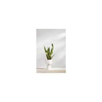 Preisvergleich für iittala - Nappula Blumentopf 260x155mm - weiß/H x Ø 26x15,5cm/Handwäsche, BxH 26x5 cm, aus Keramik