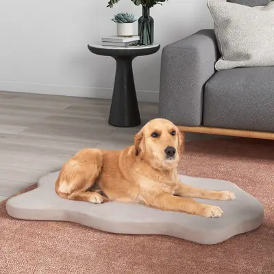 HIMAX Orthopädisches Hundebett Für Große Hunde – Mit Memory-Schaum, Waschbarem Bezug & Rutschfester Unterseite