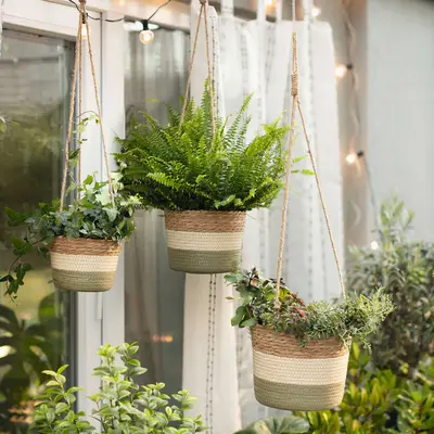 Preisvergleich für Pflanzampel Naturfarben, 3er Set, aus Sisal