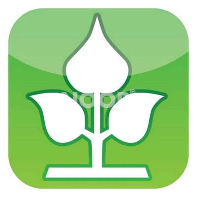 Tapis En Bambou Tressé Rectangulaire Gris Foncé - Dessous De Baignoire Ou Déco