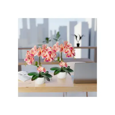 Preisvergleich fr Kunstorchidee PASCH Orchidee knstlich wie echt (40cm)  in Hochglanz-Keramiktopf Orchidee, PASCH, in der Farbe Rosa, aus Keramik |  Ladendirekt
