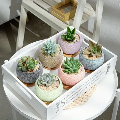 Preisvergleich für 1pc Nette Blumentopf Kreative Sukkulenten Pflanzgefäße Keramik Hause Gartenarbeit Töpfe Indoor Outdoor Pflanzgefäße, Keramik, in der Farbe Blau