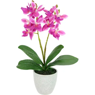 Preisvergleich für I.GE.A. Kunstorchidee Künstliche Orchidee mit Topf Dekoblume im Keramiktopf mit Rissoptik Kunstblume, BxHxT 14x14x30 cm, in der Farbe Rosa, aus Polyester